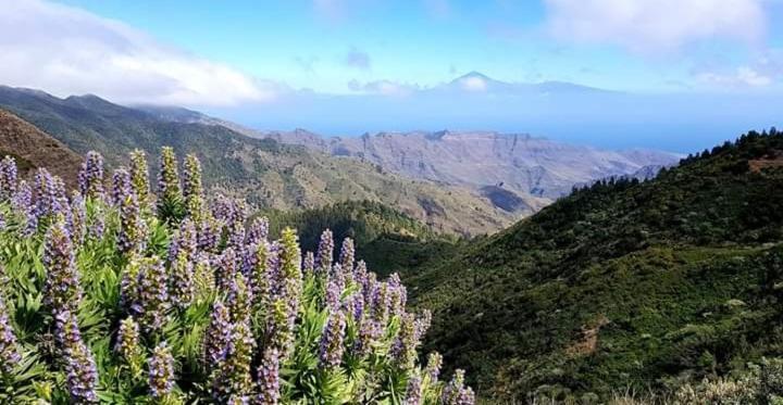 Casa Maria Villa Agulo Eksteriør billede
