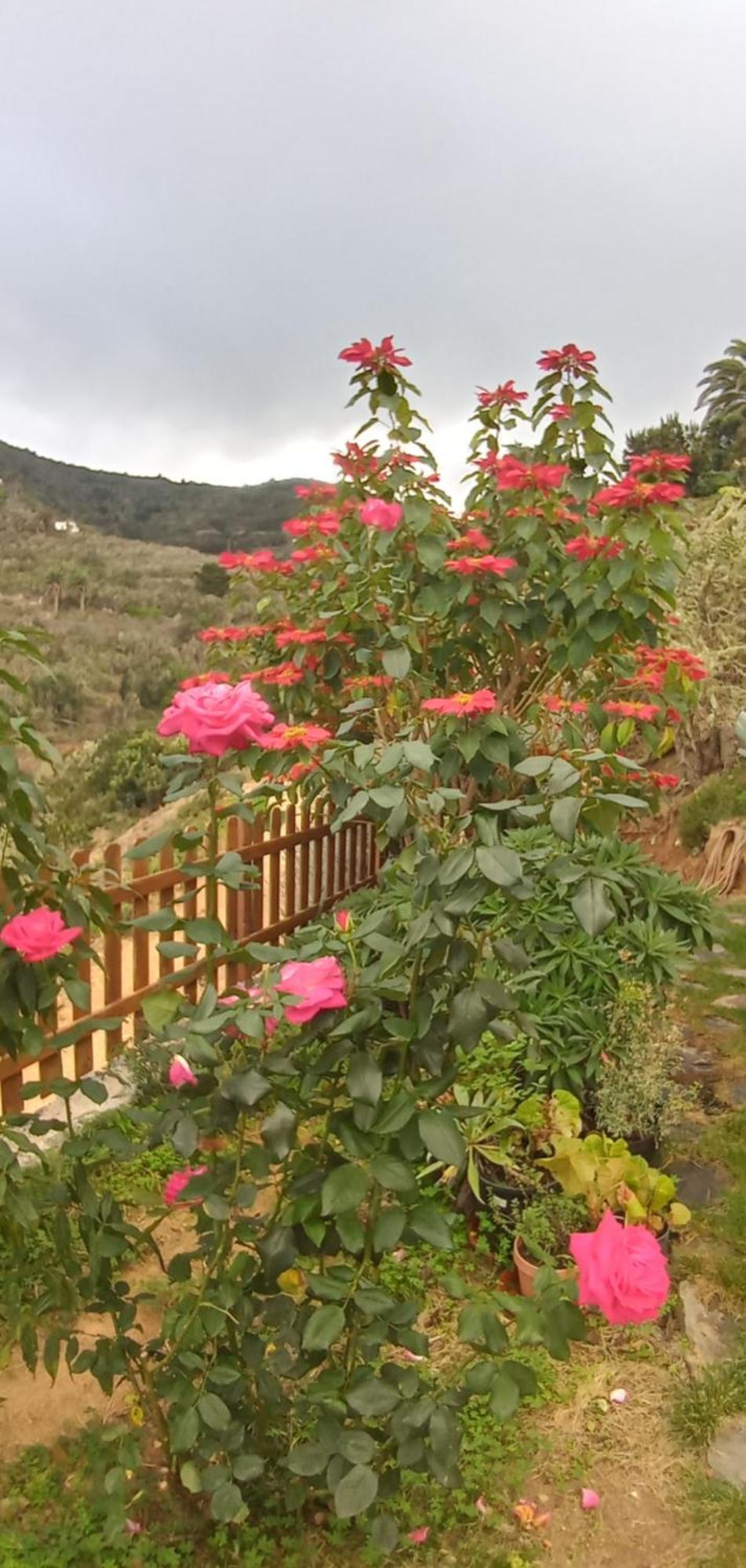 Casa Maria Villa Agulo Værelse billede