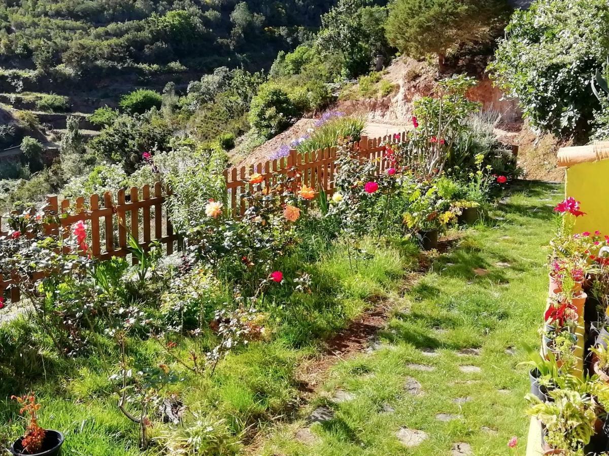 Casa Maria Villa Agulo Eksteriør billede